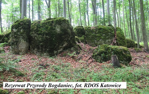 Nowe rezerwaty w naszym regionie