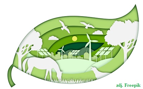 Kierunek – zielona transformacja